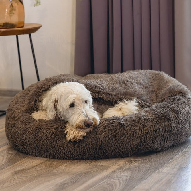 Beeztees Dog Bed Yala - with Fixed Blanket