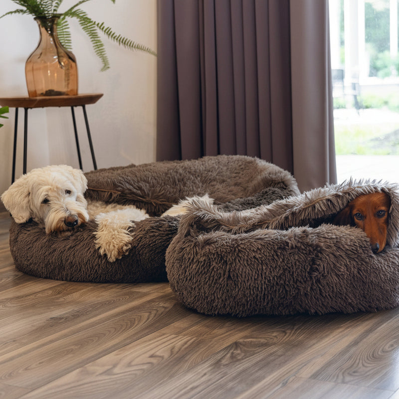 Beeztees Dog Bed Yala - with Fixed Blanket