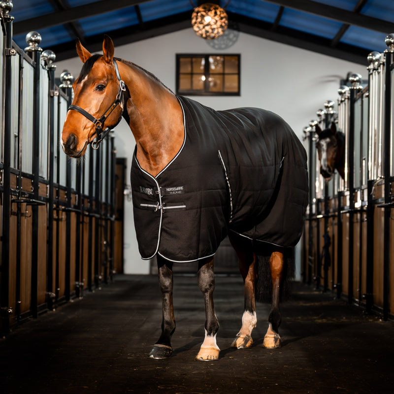 Rambo Stable Rug 200Gr