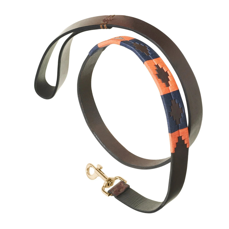 Laisse pour chien Pampeano