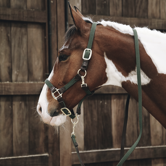 Kentucky Presentatielijn - Gevlochten Nylon - 2M