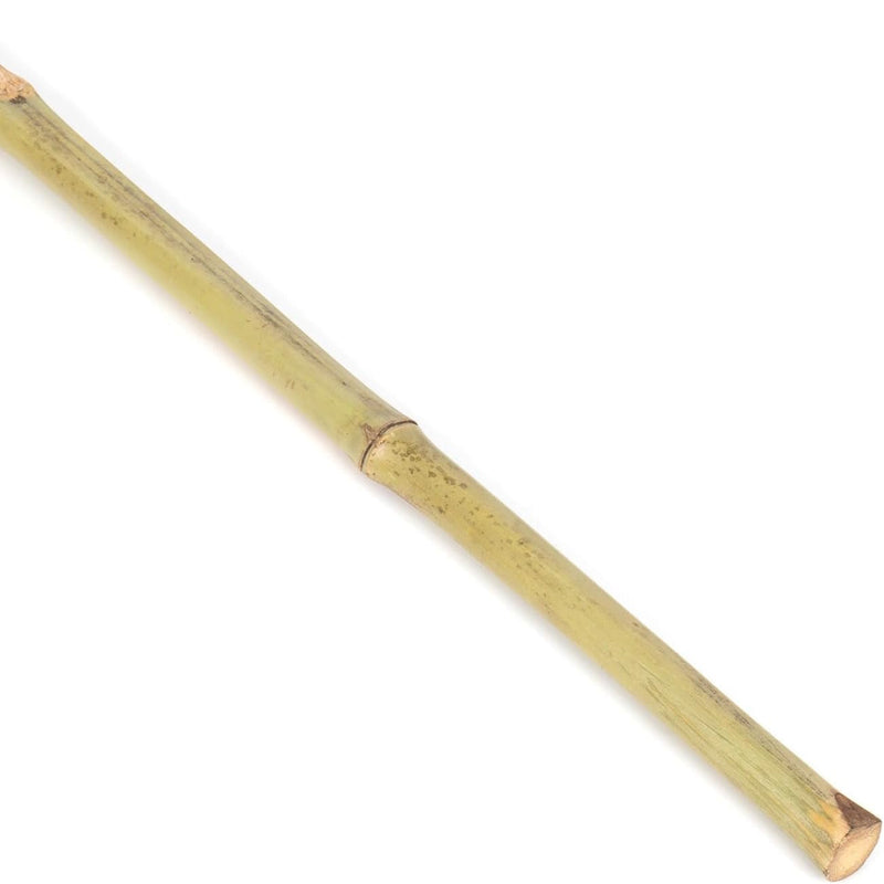 Steel Bamboe Bezem