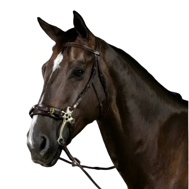 Dy'on Hackamore Hoofdstel - US Collectie