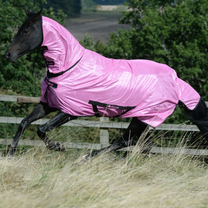 Bucas Freedom Fliegendecke