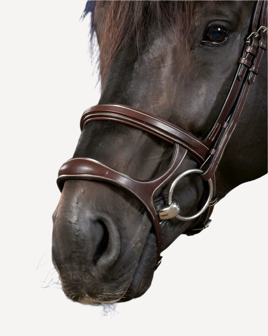 Dy'on Double Bridle - Collection US