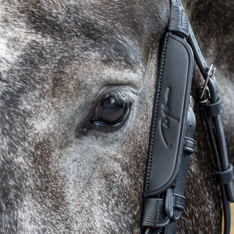 Blinkers amovibles Dy'on Focus