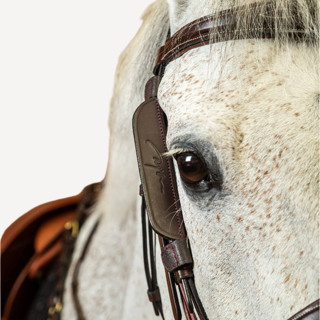 Dy'on Removable Focus Blinkers