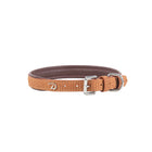 Dy'on Hondenhalsband Basket
