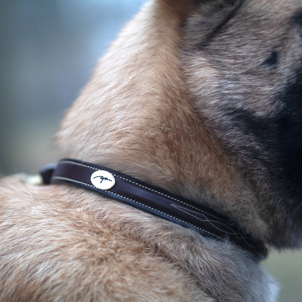 Dy'on Fancy Dog Collar