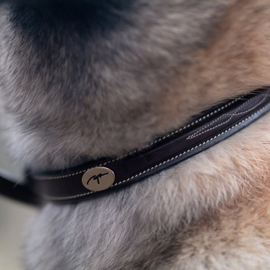 Dy'on Fancy Dog Collar