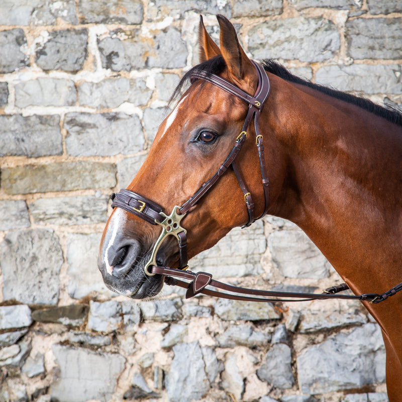 Dy'on Hackamore Bridle - D Collection