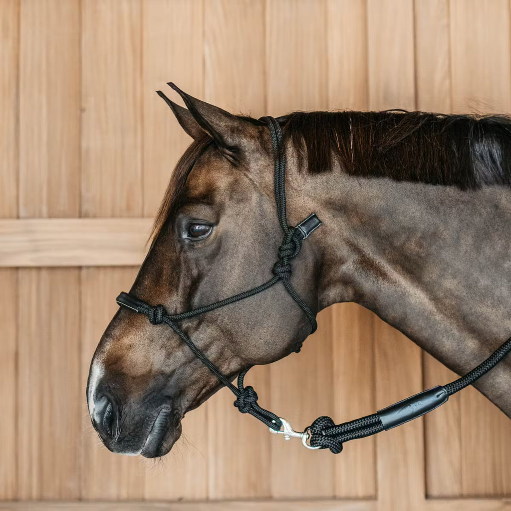 Dy'on Trainingshalfter