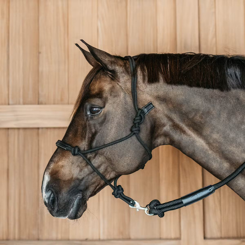 Dy'on Trainingshalfter
