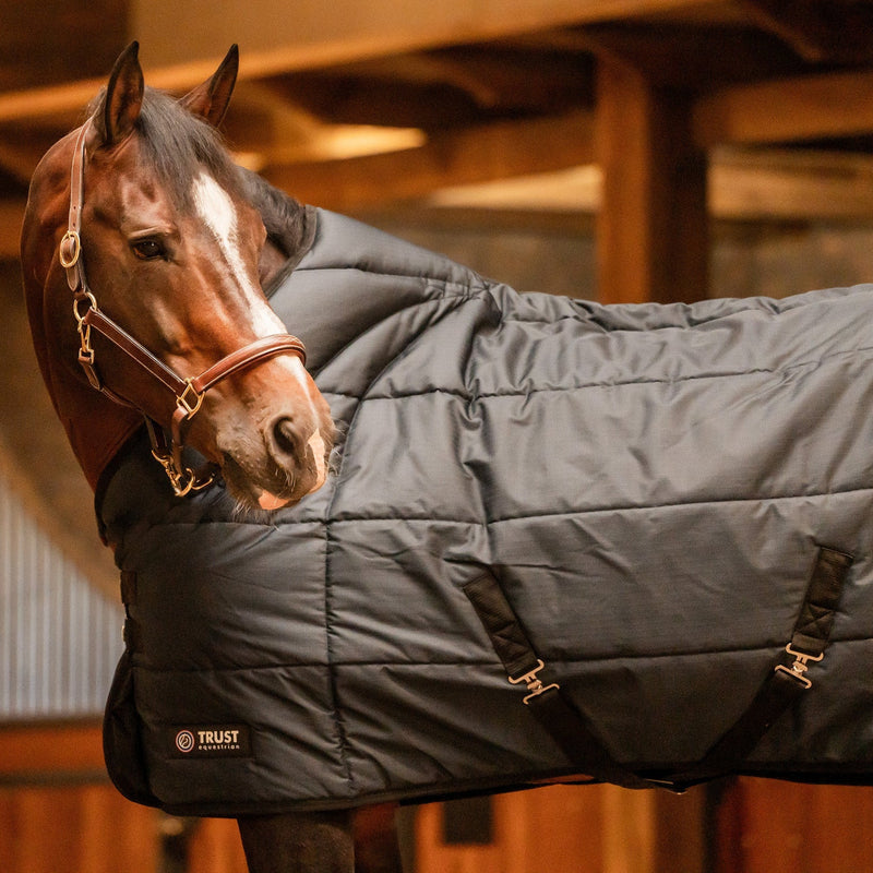 TRUST Tetris Stable Rug - 200 G