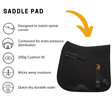 Equine Balance Band Dr