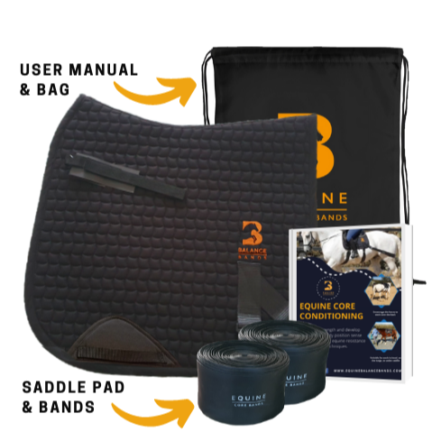 Equine Balance Band Dr
