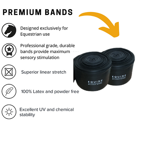 Equine Balance Band Dr
