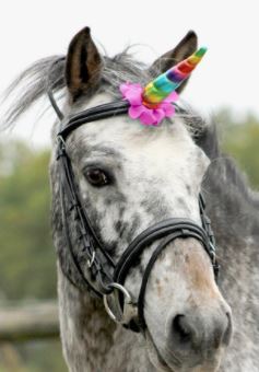 Unicorn Horn