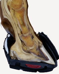 F.R.A Cavallo Sport Hoofboot Lightweight