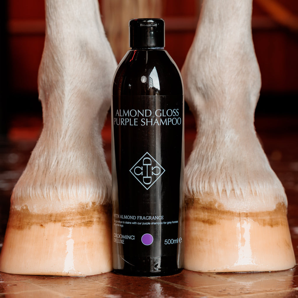 Grooming Deluxe Mandelglanz Lila Shampoo