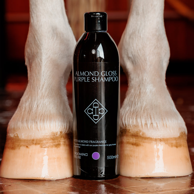 Grooming Deluxe Shampoing Violet Amande Gloss