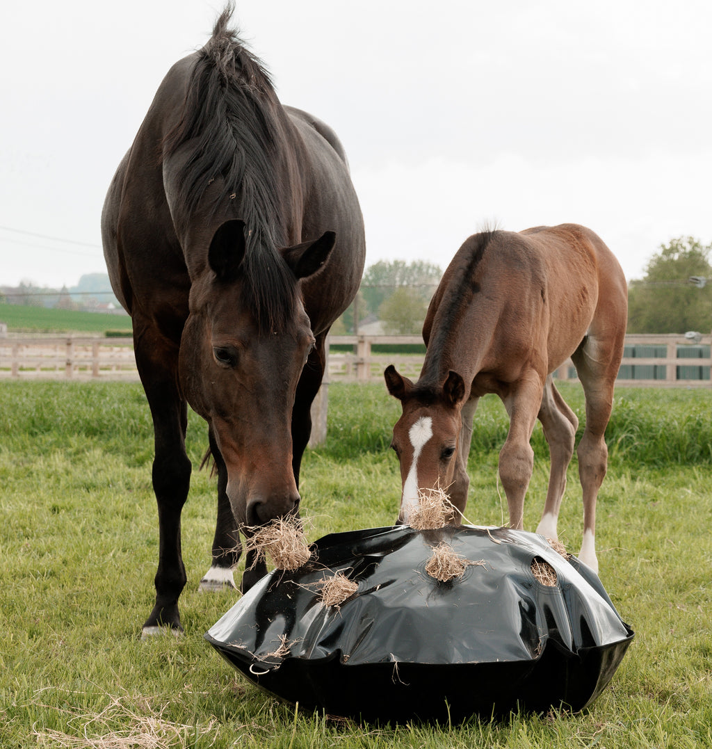 Grooming Deluxe Speel- & Hooizak Slowfeeder Rond