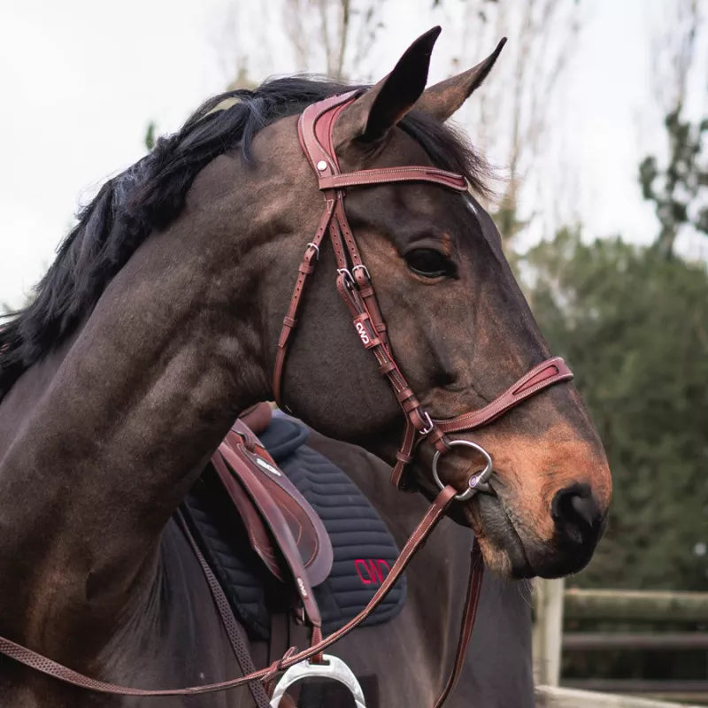 CWD Flexmotion Zaumzeug