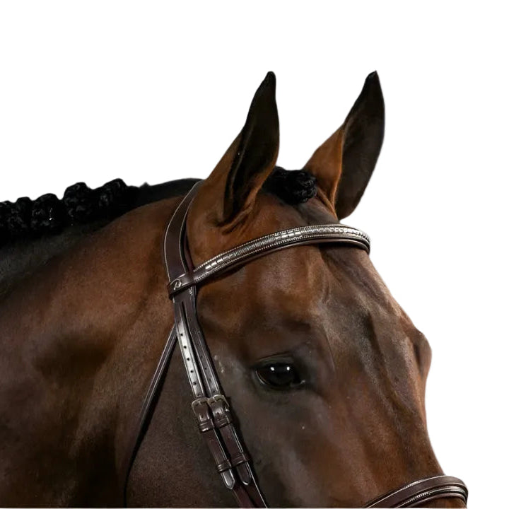 Dy'on Straight Browband- Silver Studs - US Collectie