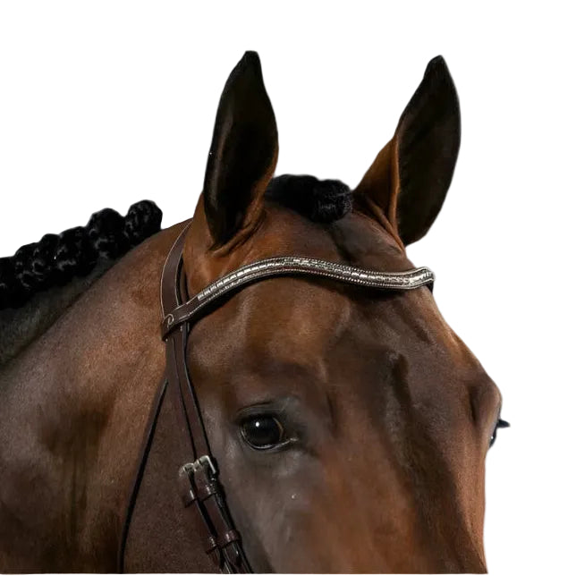 Dy'on V-Shape Frontriem - Zilveren Studs - US Collectie
