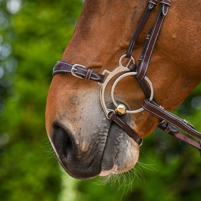 Jump'In Hackamore Neusriem