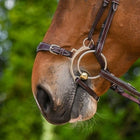 Jump'In Hackamore Neusriem