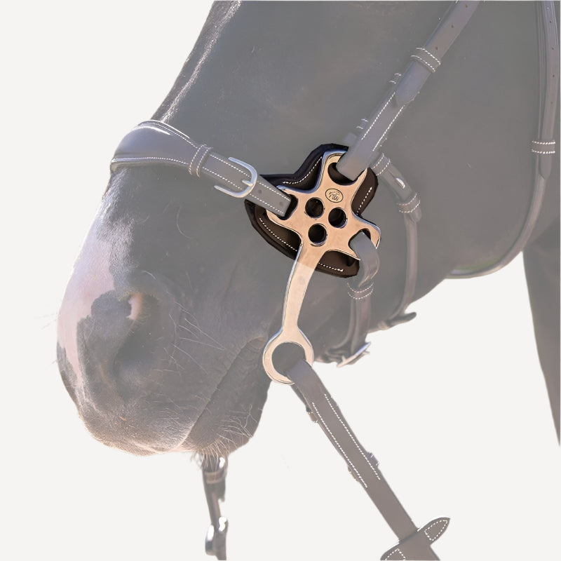 Jump'In Hackamore Schutz