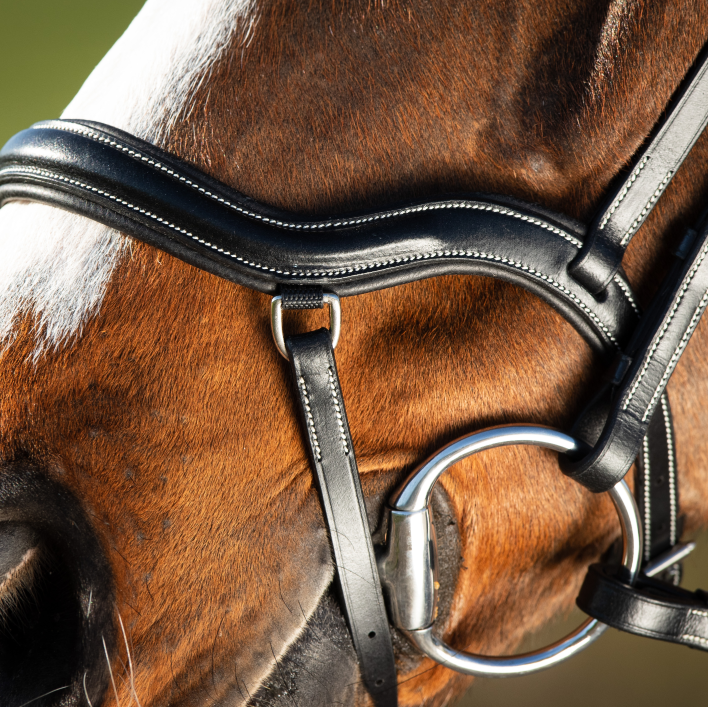 HFI Hoofdstel Techno Bridle