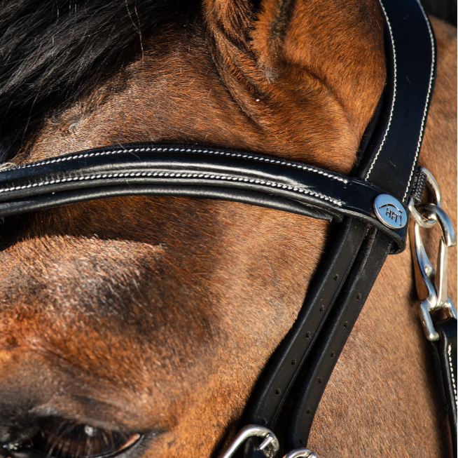 HFI Hoofdstel Techno Bridle