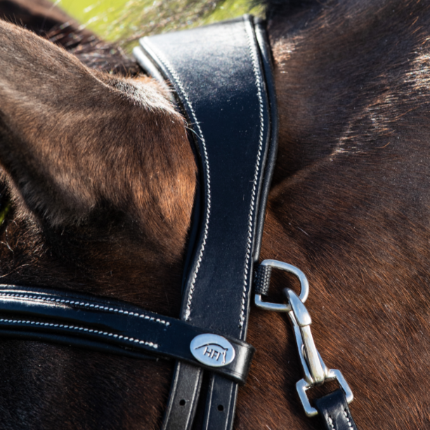 HFI Hoofdstel Techno Bridle