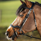 HFI Hoofdstel Techno Bridle