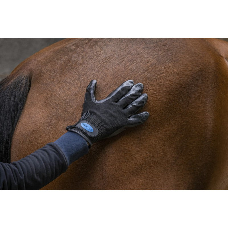 Hippotonic Grooming Glove Anti-Shedding