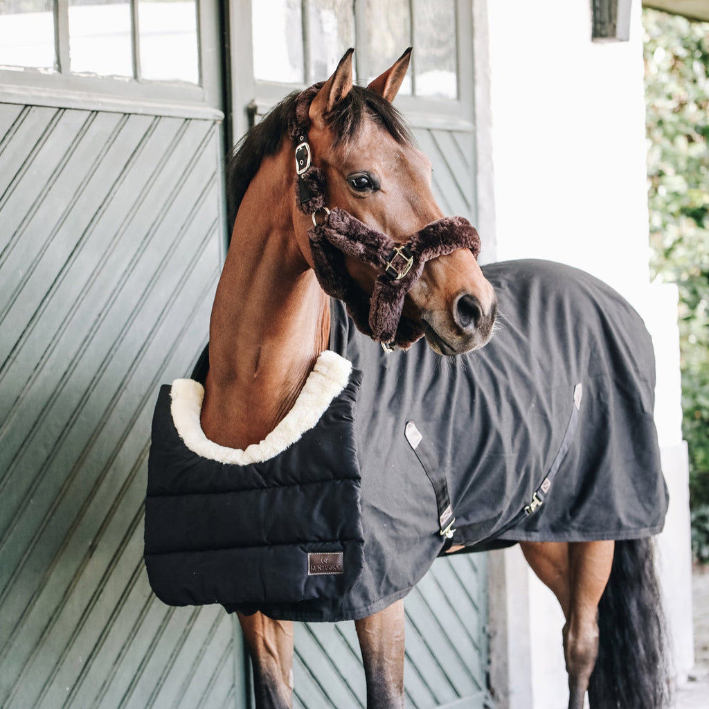 Bavoir pour cheval du Kentucky - Hiver
