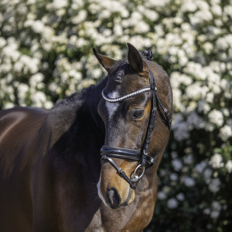 LJ Bridle Rocky - Patent Leather