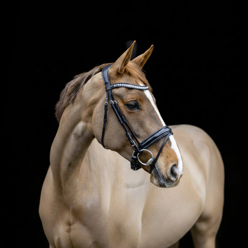 LJ Hoofdstel Serenety
