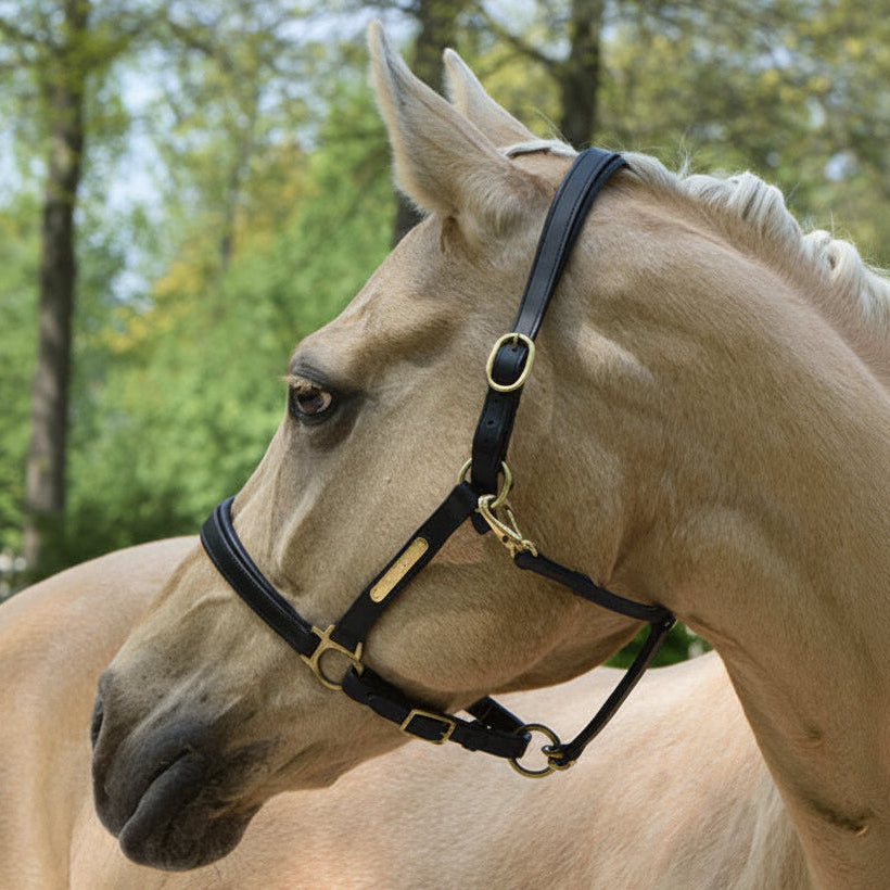 LJ Halster Leder Onderlegd - Met Naamplaat