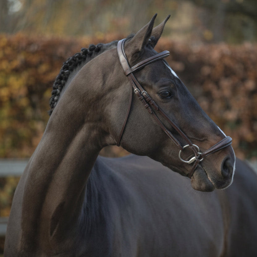 LJ Hoofdstel New Pro Lage Neusriem