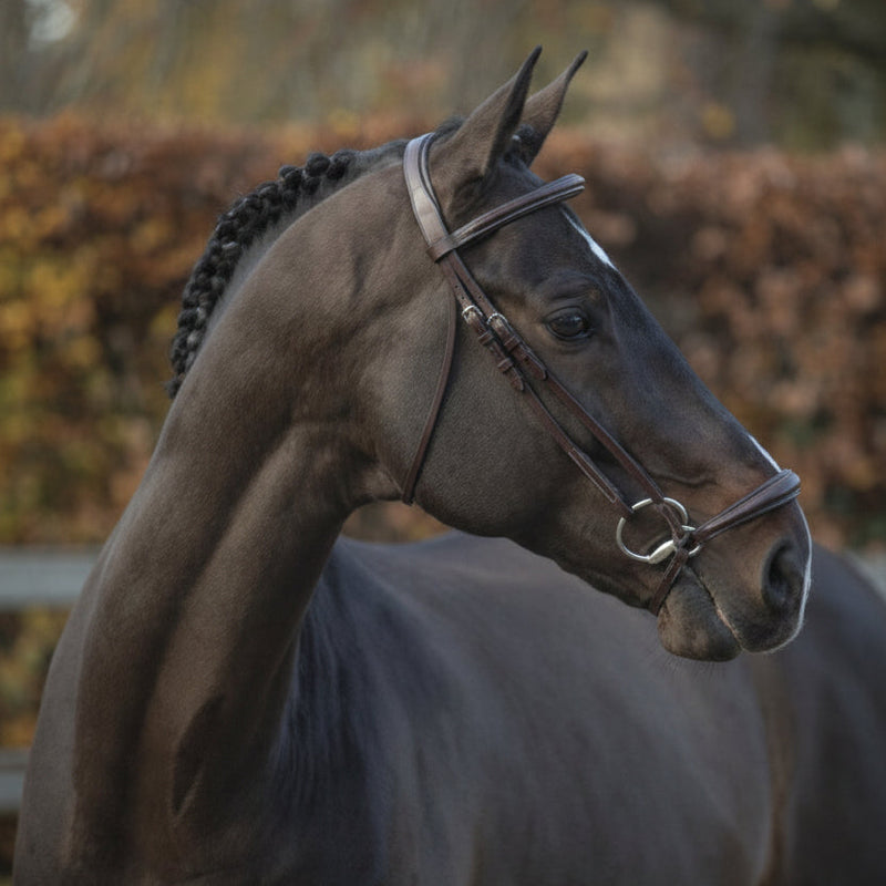 Muserolle de licol LJ Bridle New Pro Drop