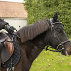 LJ Kids Safety Reins