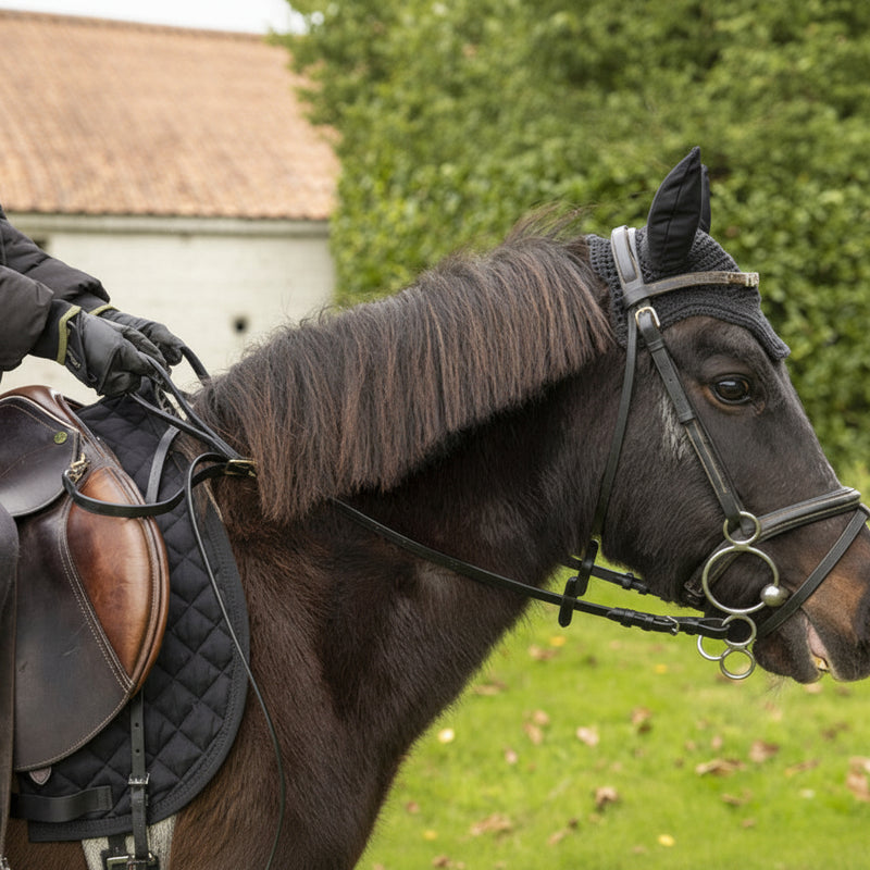LJ Kids Safety Reins