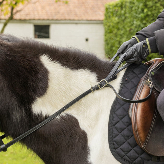 LJ Kids Safety Reins