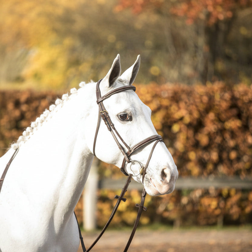 LJ Bridle New Pro Combined Noseband