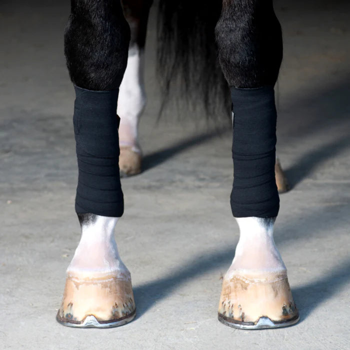 Incrediwear Equine Circulation Exercise Bandage