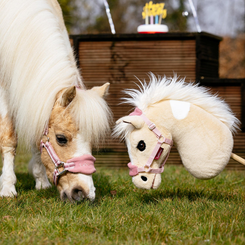LeMieux Hobby Horse