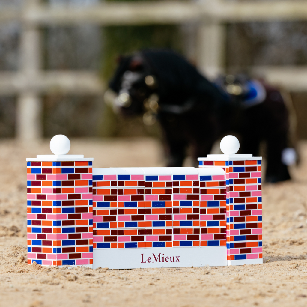 LeMieux Toy Pony Puissance Wall